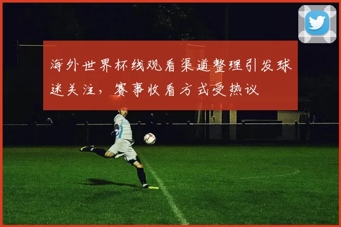 海外世界杯线观看渠道整理引发球迷关注，赛事收看方式受热议