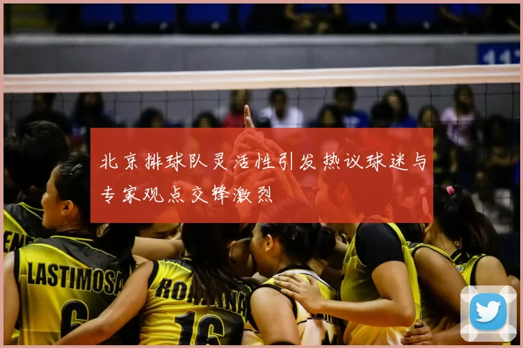北京排球队灵活性引发热议球迷与专家观点交锋激烈