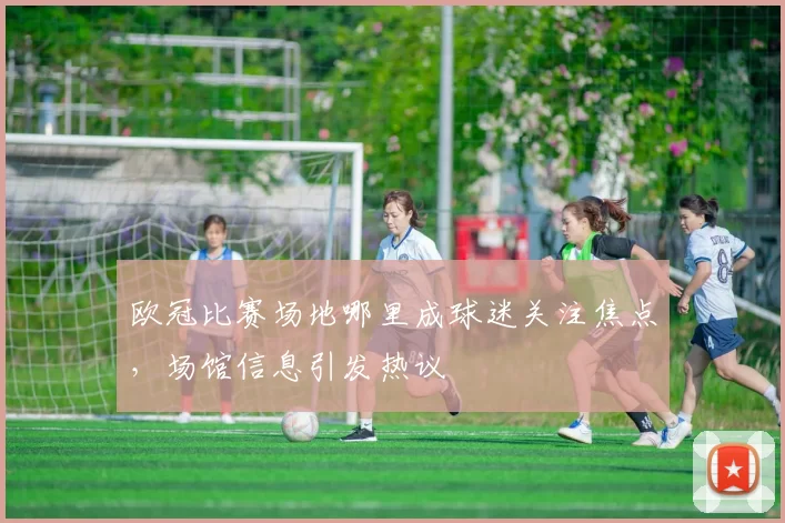 欧冠比赛场地哪里成球迷关注焦点,场馆信息引发热议