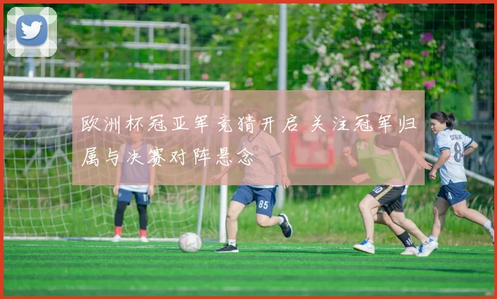欧洲杯冠亚军竞猜开启 关注冠军归属与决赛对阵悬念