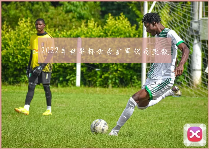 2022年世界杯会否扩军仍存变数