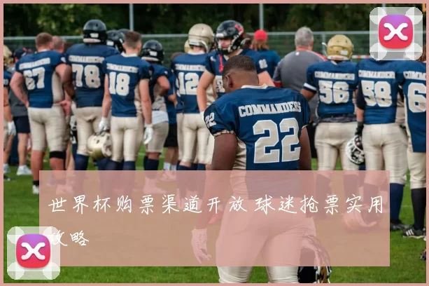 世界杯购票渠道开放 球迷抢票实用攻略