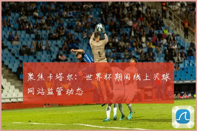 聚焦卡塔尔：世界杯期间线上买球网站监管动态