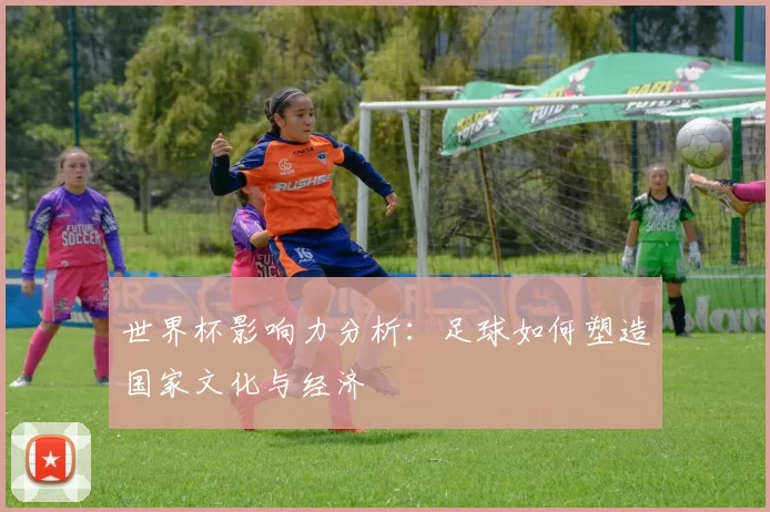 世界杯影响力分析:足球如何塑造国家文化与经济